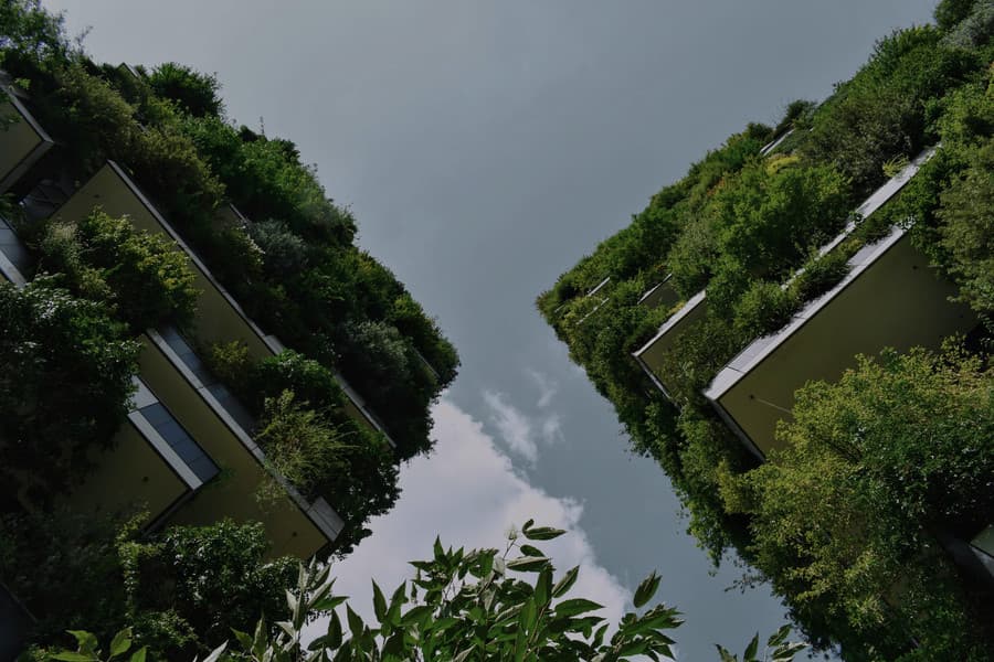 Acompañamiento integral